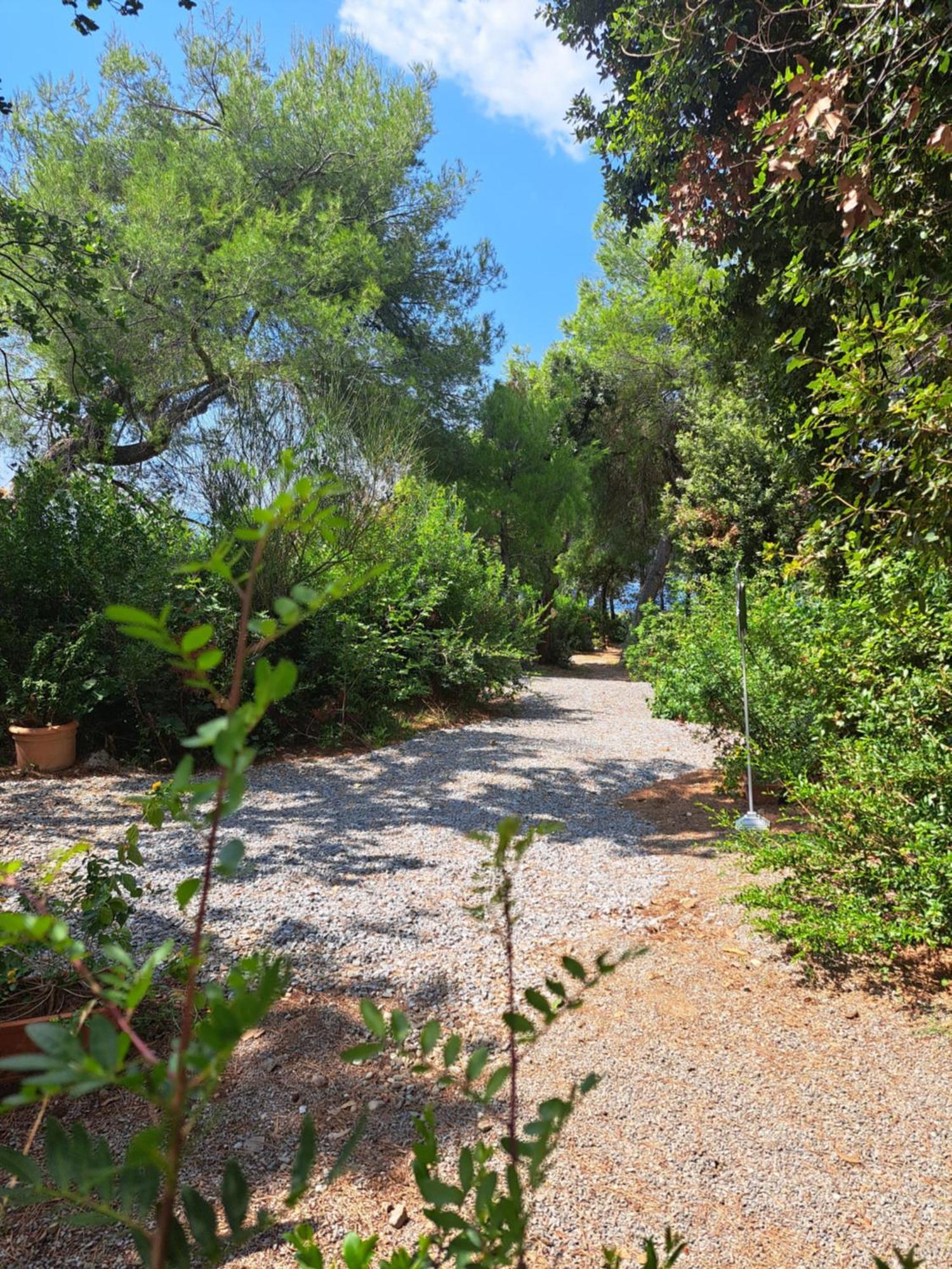 ماراتييا Bed And Breakfast Tenuta Palmieri Only Adult المظهر الخارجي الصورة